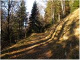 Tržiški graben - Planina Javornik